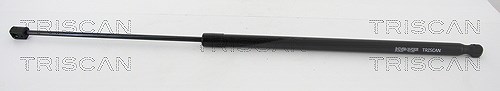 Triscan Gasfeder, Koffer-/Laderaum [Hersteller-Nr. 871016262] für Ford
