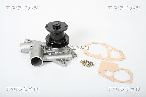 Triscan Wasserpumpe [Hersteller-Nr. 860025080] für Renault