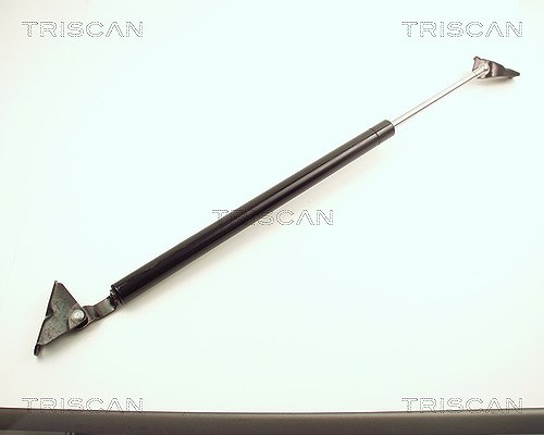 Triscan Gasfeder, Koffer-/Laderaum [Hersteller-Nr. 871013240] für Toyota