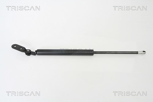 Triscan Gasfeder, Koffer-/Laderaum [Hersteller-Nr. 871018215] für Kia