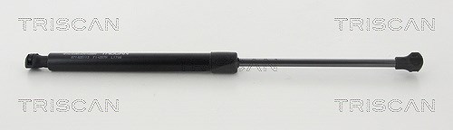 Triscan Gasfeder, Motorhaube [Hersteller-Nr. 871025113] für Audi, Renault