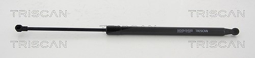 Triscan Gasfeder, Koffer-/Laderaum [Hersteller-Nr. 871024255] für Chevrolet
