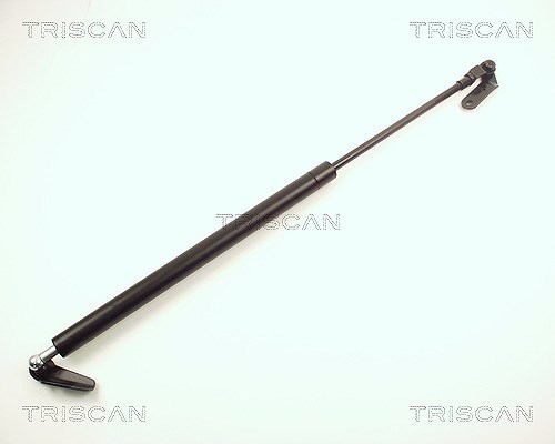 Triscan Gasfeder, Koffer-/Laderaum [Hersteller-Nr. 871013235] für Toyota