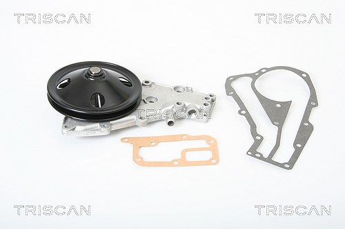 Triscan Wasserpumpe [Hersteller-Nr. 860025814] für Renault