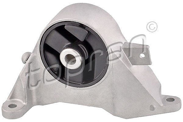 Topran Lagerung, Motor [Hersteller-Nr. 208325] für Vauxhall, Opel