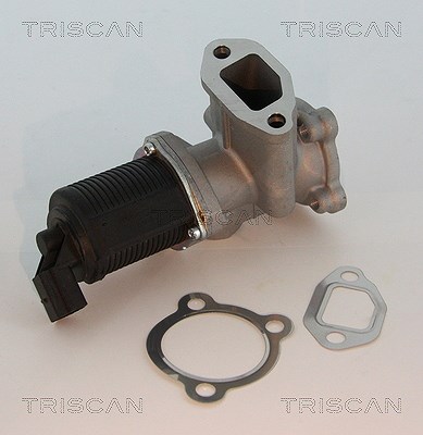 Triscan AGR-Ventil [Hersteller-Nr. 881310003] für Vauxhall, Fiat, Lancia, Opel, Alfa Romeo