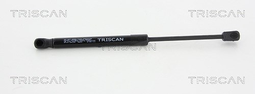 Triscan Gasfeder, Motorhaube [Hersteller-Nr. 871029134] für Audi