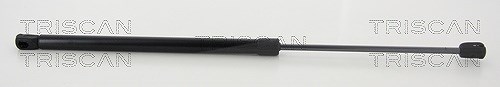 Triscan Gasfeder, Heckscheibe [Hersteller-Nr. 871023252] für Mercedes-Benz