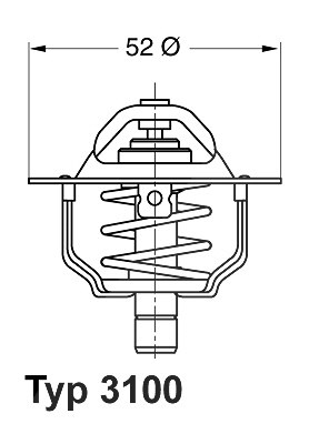Wahler Thermostat, Kühlmittel [Hersteller-Nr. 3100.92D] für Ford Usa