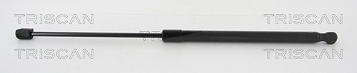 Triscan Gasfeder, Koffer-/Laderaum [Hersteller-Nr. 8710292002] für Audi