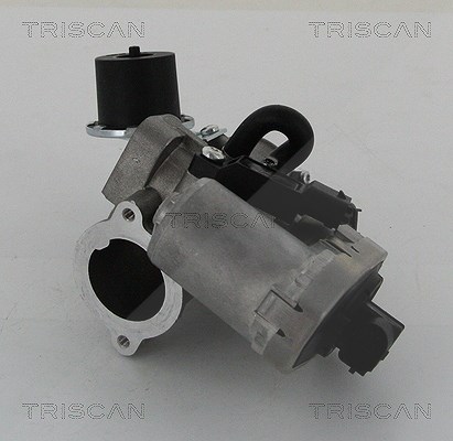 Triscan AGR-Ventil [Hersteller-Nr. 881316202] für Ford, Jaguar