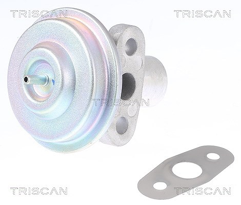 Triscan AGR-Ventil [Hersteller-Nr. 881316204] für Ford