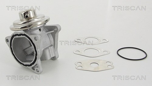Triscan AGR-Ventil [Hersteller-Nr. 881329111] für Skoda, Seat, Audi, Dodge, Jeep, Chrysler, Mitsubishi, VW