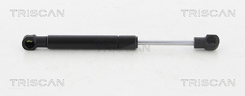 Triscan Gasfeder, Koffer-/Laderaum [Hersteller-Nr. 871020203] für Porsche