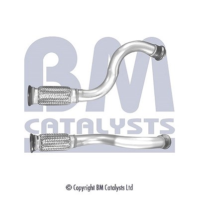 Bm Catalysts Abgasrohr [Hersteller-Nr. BM50636] für Peugeot, Ds, Citroën