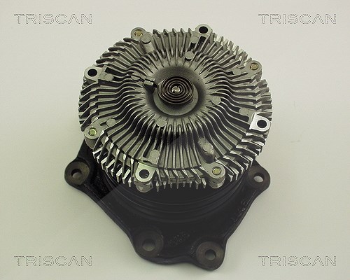 Triscan Wasserpumpe [Hersteller-Nr. 860014005] für Nissan