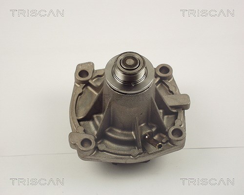 Triscan Wasserpumpe [Hersteller-Nr. 860010011] für Rover, Ford, Alfa Romeo, Chrysler