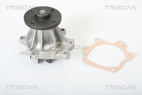 Triscan Wasserpumpe [Hersteller-Nr. 860014008] für Nissan