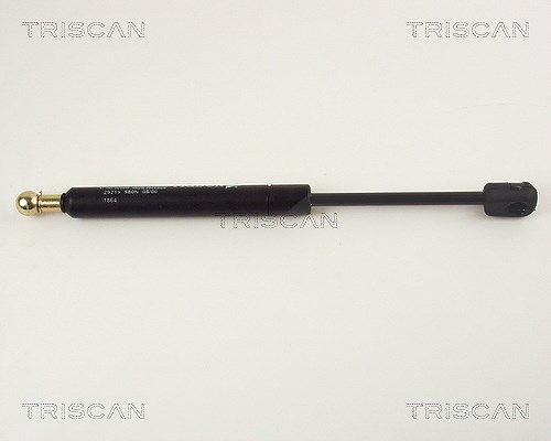 Triscan Gasfeder, Koffer-/Laderaum [Hersteller-Nr. 871029219] für Audi