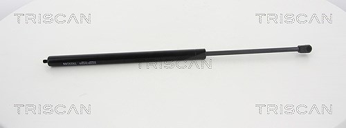 Triscan Gasfeder, Koffer-/Laderaum [Hersteller-Nr. 871080208] für Jeep
