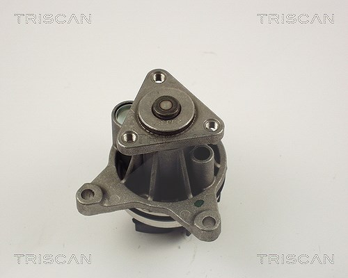 Triscan Wasserpumpe [Hersteller-Nr. 860016020] für Volvo, Mazda, Ford