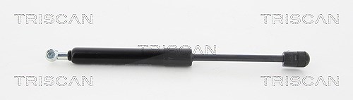 Triscan Gasfeder, Koffer-/Laderaum [Hersteller-Nr. 8710292008] für Audi