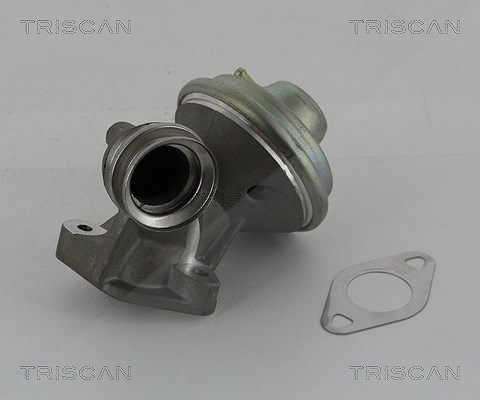 Triscan AGR-Ventil [Hersteller-Nr. 881310102] für Citroën, Ford, Peugeot