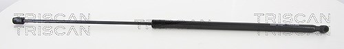 Triscan Gasfeder, Motorhaube [Hersteller-Nr. 871029140] für Audi