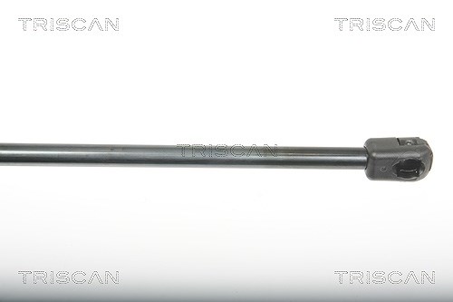 Triscan Gasfeder, Koffer-/Laderaum [Hersteller-Nr. 871025243] für Renault