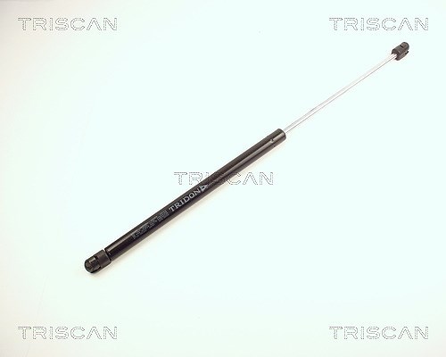 Triscan Gasfeder, Motorhaube [Hersteller-Nr. 871025100] für Renault