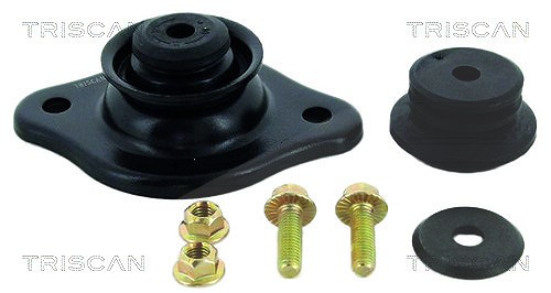 Triscan Federbeinstützlager [Hersteller-Nr. 850021903] für Chevrolet, Daewoo