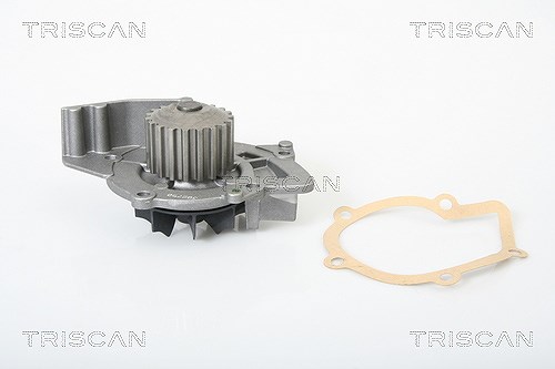 Triscan Wasserpumpe [Hersteller-Nr. 860010009] für Volvo, Lancia, Ford, Fiat, Citroën, Peugeot