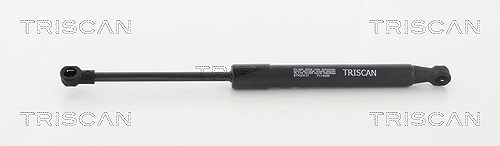 Triscan Gasfeder, Motorhaube [Hersteller-Nr. 871029137] für Audi