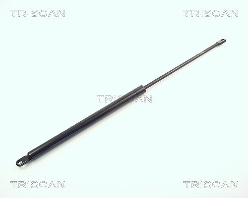 Triscan Gasfeder, Koffer-/Laderaum [Hersteller-Nr. 871011210] für BMW