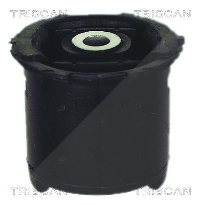 Triscan Lagerung, Achskörper [Hersteller-Nr. 850011825] für BMW
