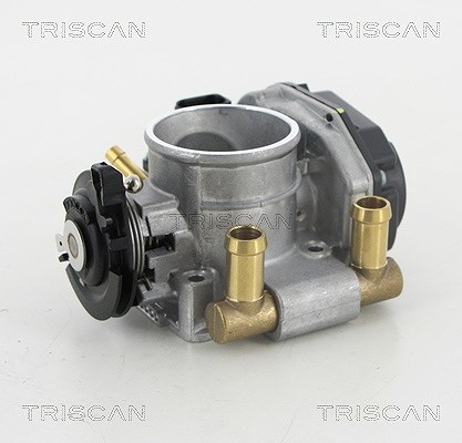 Triscan Drosselklappenstutzen [Hersteller-Nr. 882029020] für Audi