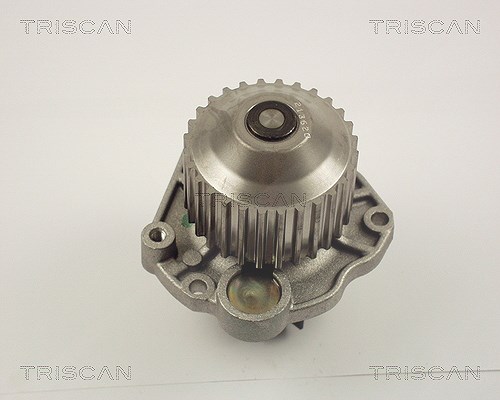 Triscan Wasserpumpe [Hersteller-Nr. 860010020] für Lancia, Fiat, Renault, Citroën, Peugeot