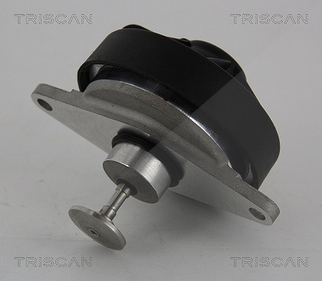 Triscan AGR-Ventil [Hersteller-Nr. 881324202] für Opel, Vauxhall