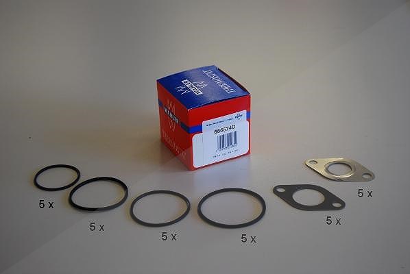 Wahler Dichtungssatz, AGR-System [Hersteller-Nr. 665574D]