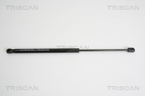 Triscan Gasfeder, Koffer-/Laderaum [Hersteller-Nr. 871010206] für Peugeot, Seat, Citroën, Mitsubishi
