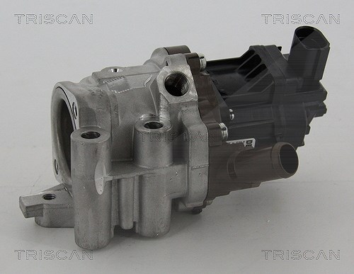 Triscan AGR-Ventil [Hersteller-Nr. 881315207] für Iveco