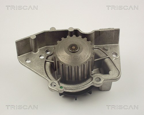 Triscan Wasserpumpe [Hersteller-Nr. 860028917] für Rover, Fiat, Lancia, Toyota, Citroën, Suzuki, Peugeot