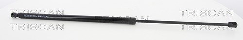 Triscan Gasfeder, Koffer-/Laderaum [Hersteller-Nr. 871015243] für Fiat
