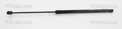 Triscan Gasfeder, Koffer-/Laderaum [Hersteller-Nr. 871011237] für BMW