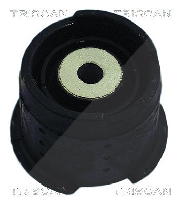 Triscan Lagerung, Achskörper [Hersteller-Nr. 850011832] für BMW