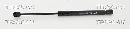 Triscan Gasfeder, Koffer-/Laderaum [Hersteller-Nr. 8710292105] für VW