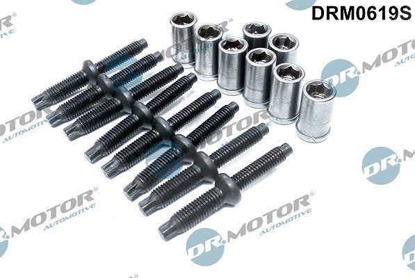 Dr.motor Automotive Reparatursatz, Düsenhalter [Hersteller-Nr. DRM0619S] für Peugeot, Ford, Citroën