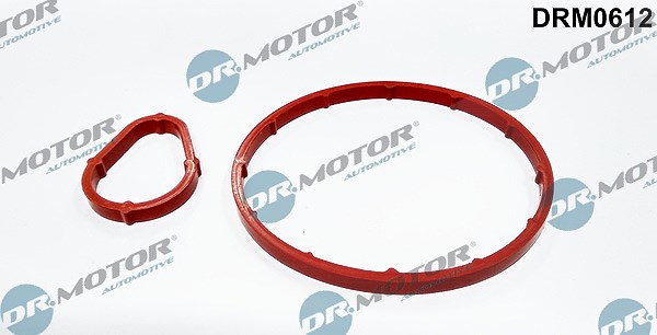 Dr.motor Automotive Dichtungssatz, Unterdruckpumpe [Hersteller-Nr. DRM0612] für Peugeot, Mazda, Citroën, Ford, Ds
