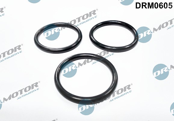 Dr.motor Automotive Dichtung, Wasserpumpe [Hersteller-Nr. DRM0605] für Ford, Citroën, Fiat, Peugeot
