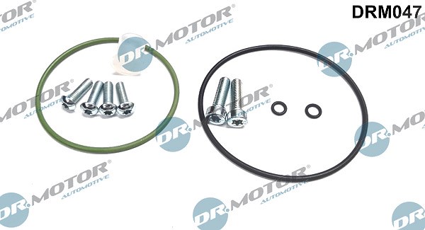 Dr.motor Automotive Reparatursatz, Unterdruckpumpe (Bremsanlage) [Hersteller-Nr. DRM047] für VW, Audi
